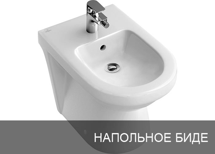 ���� ���������