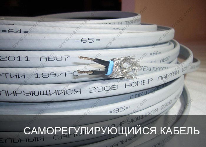 ������������������ ������� ������